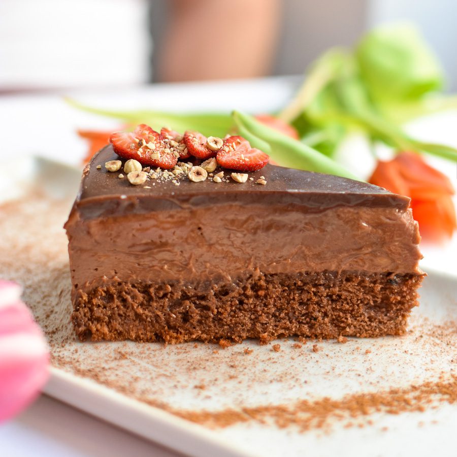 Nanina tortica